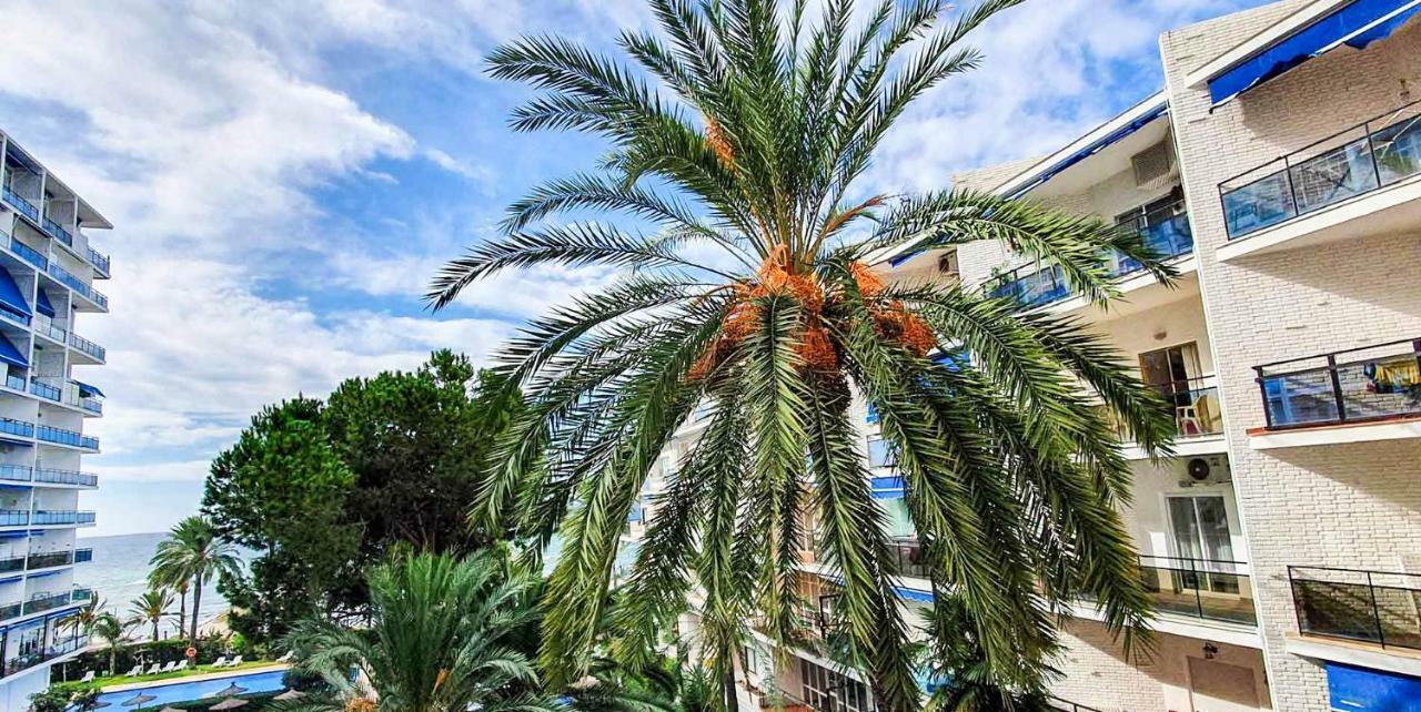 Skol Apartments Marbella Esterno foto